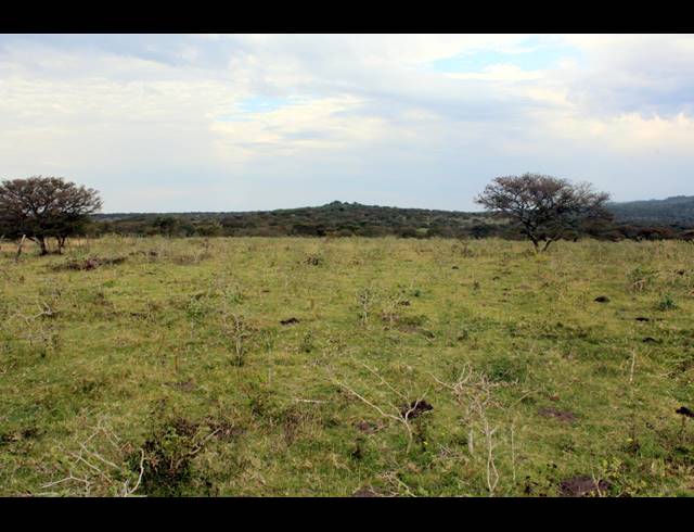 367HA FARM FOR SALE IN KOMGA